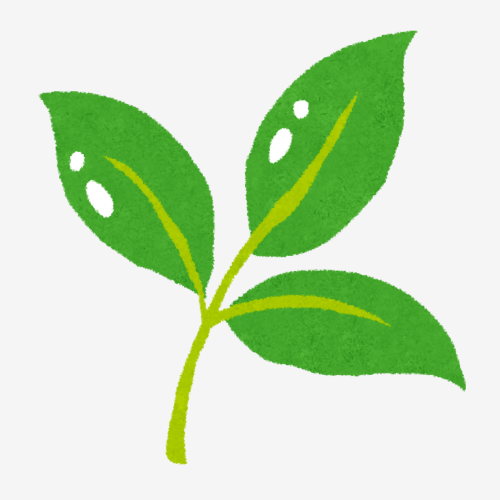 Fresh ingredients only catering